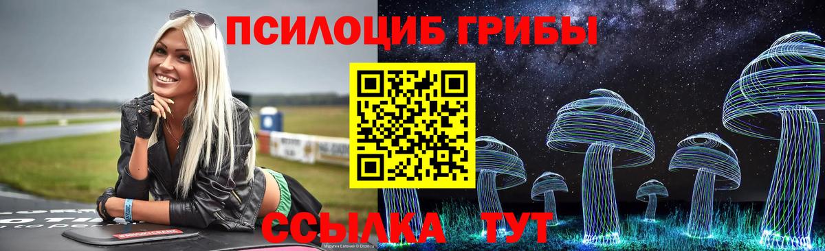 Галлюциногенные грибы ЛСД Большой Камень