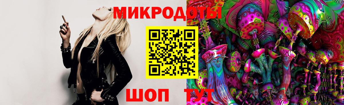 Большой Камень  Псилоцибиновые грибы Psilocybe  купить   Вход с VPN 